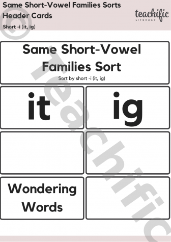 Preview image for Short Vowel Family Sorts: Short i (it, ig)