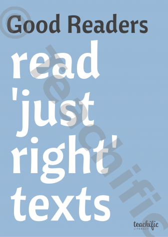 Preview image for Reading Tools: Good Reader Posters - Just Right texts