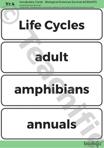 Preview image for Science Vocabulary Cards: Yr 4 Biological Sciences - Life Cycles