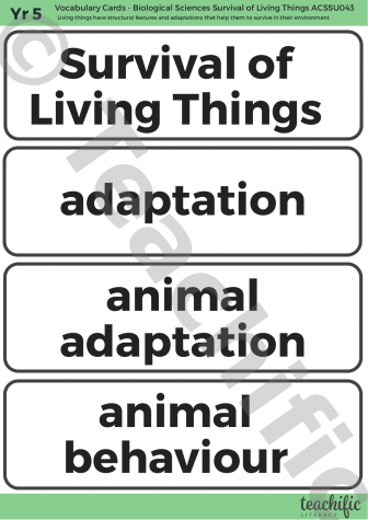 Preview image for Science Vocabulary Cards: Yr 5 Biological Sciences - Survival of Living Things