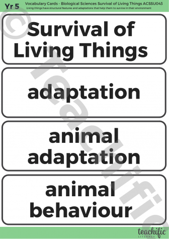 Preview image for Science Vocabulary Cards: Yr 5 Biological Sciences - Survival of Living Things 