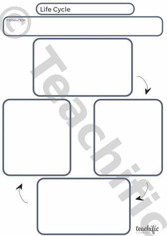 Preview image for Writing Templates: Life Cycle 4 Stages