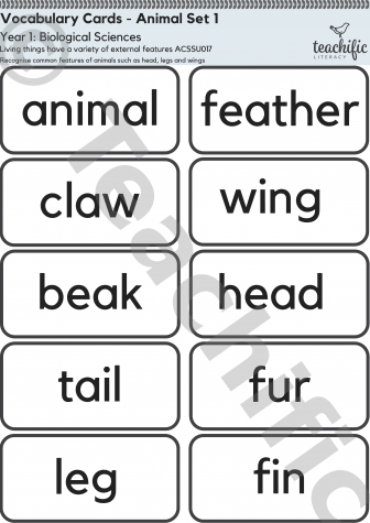 Preview image for Science Vocabulary Cards: Yr 1 Biological Sciences Animal Set 1
