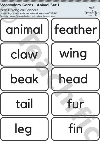 Preview image for Science Vocabulary Cards: Yr 1 Biological Sciences Animal Set 1 