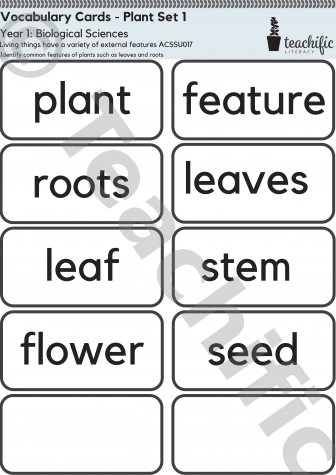 Preview image for Science Vocabulary Cards: Yr 1 Biological Sciences - Plants Set 1 