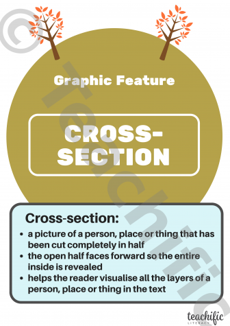 Preview image for Non Fiction Poster: Graphic Feature, Yrs 3-6 - Cross-Section