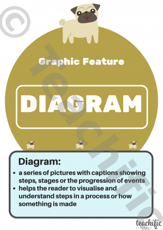 Preview image for Non Fiction Poster: Graphic Feature, Yrs 3-6 -Diagram 