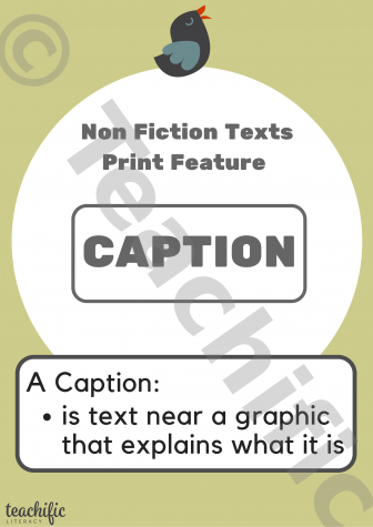 Preview image for Non Fiction Poster: Print Features, Yrs K-2 - Caption