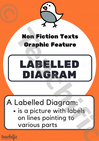Preview image for Non Fiction Poster: Graphic Feature, Yrs K-2 - Labelled Diagram